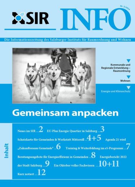 SIR-Info-2_2024