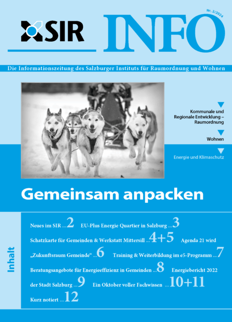SIR-Info-2_2024