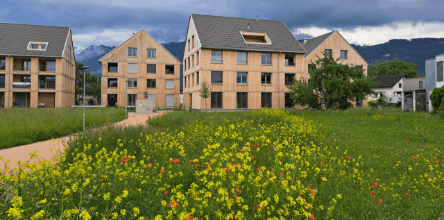 Blick auf eine Wohnsiedlung in Holzbauweise vor einer Blumenwiese