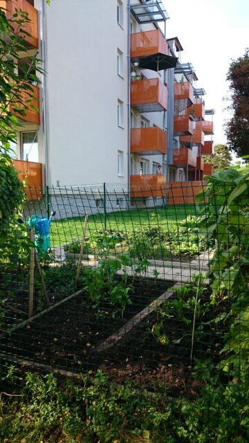 Ein kleiner Gemeinschaftsgarten vor einem Wohnhaus